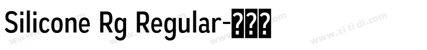Silicone Rg Regular字体转换